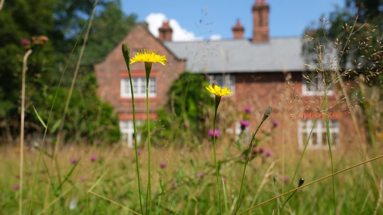Beech Hill B&B Weaverham Екстериор снимка